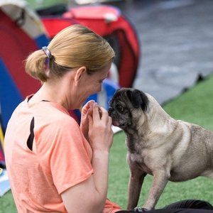 Meet your Posher, Heidi